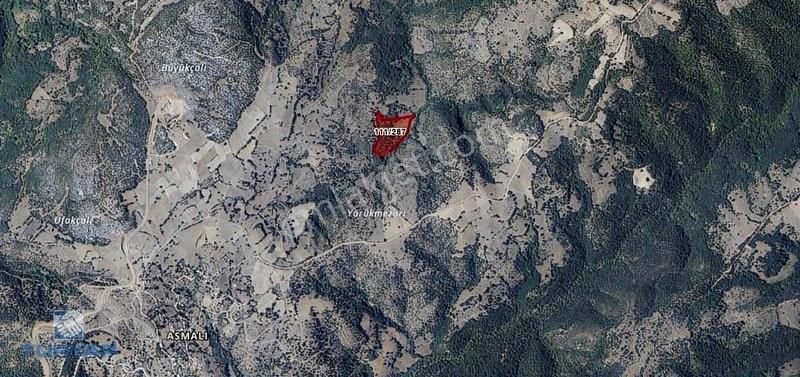 Çanakkale / Çan / Asmalı Köyünde Yatırımlık Fırsat! - Görsel 4