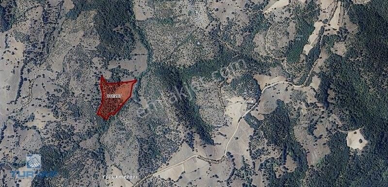 Çanakkale / Çan / Asmalı Köyünde Yatırımlık Fırsat!