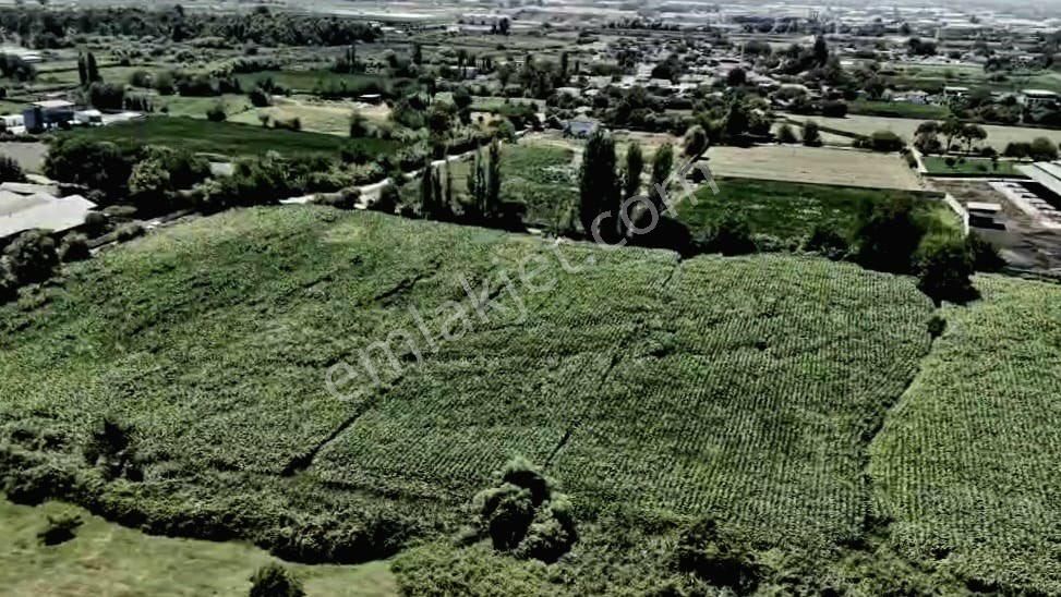 Aydın Efeler Pınarderede Satılık 16.636 M2 Ekilebilir Tarla - Görsel 13
