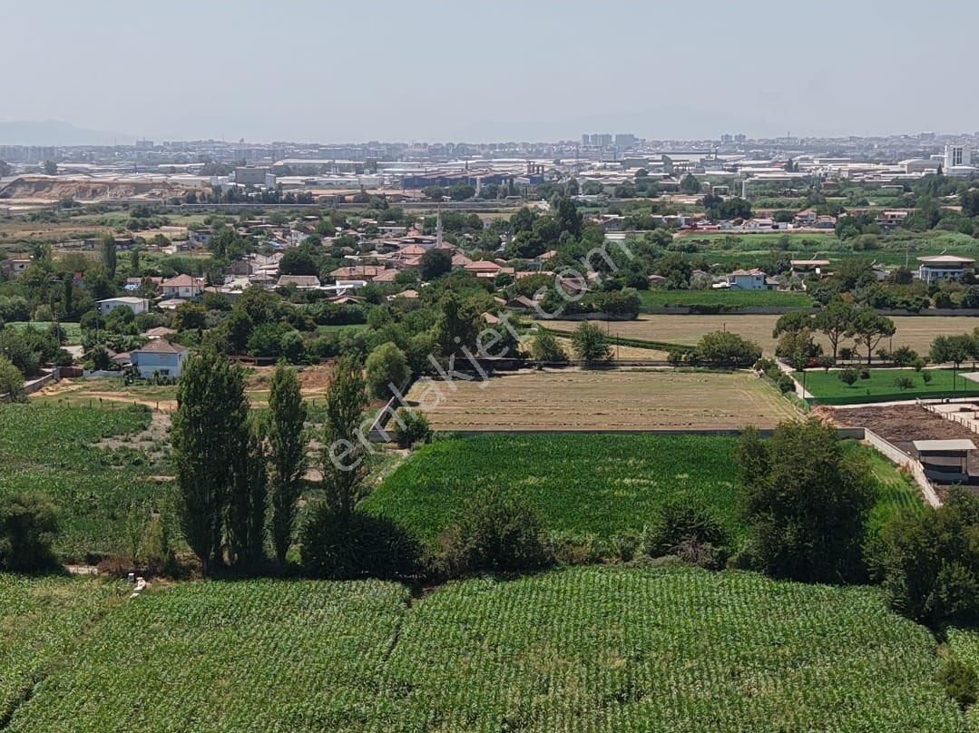 Aydın Efeler Pınarderede Satılık 16.636 M2 Ekilebilir Tarla - Görsel 11