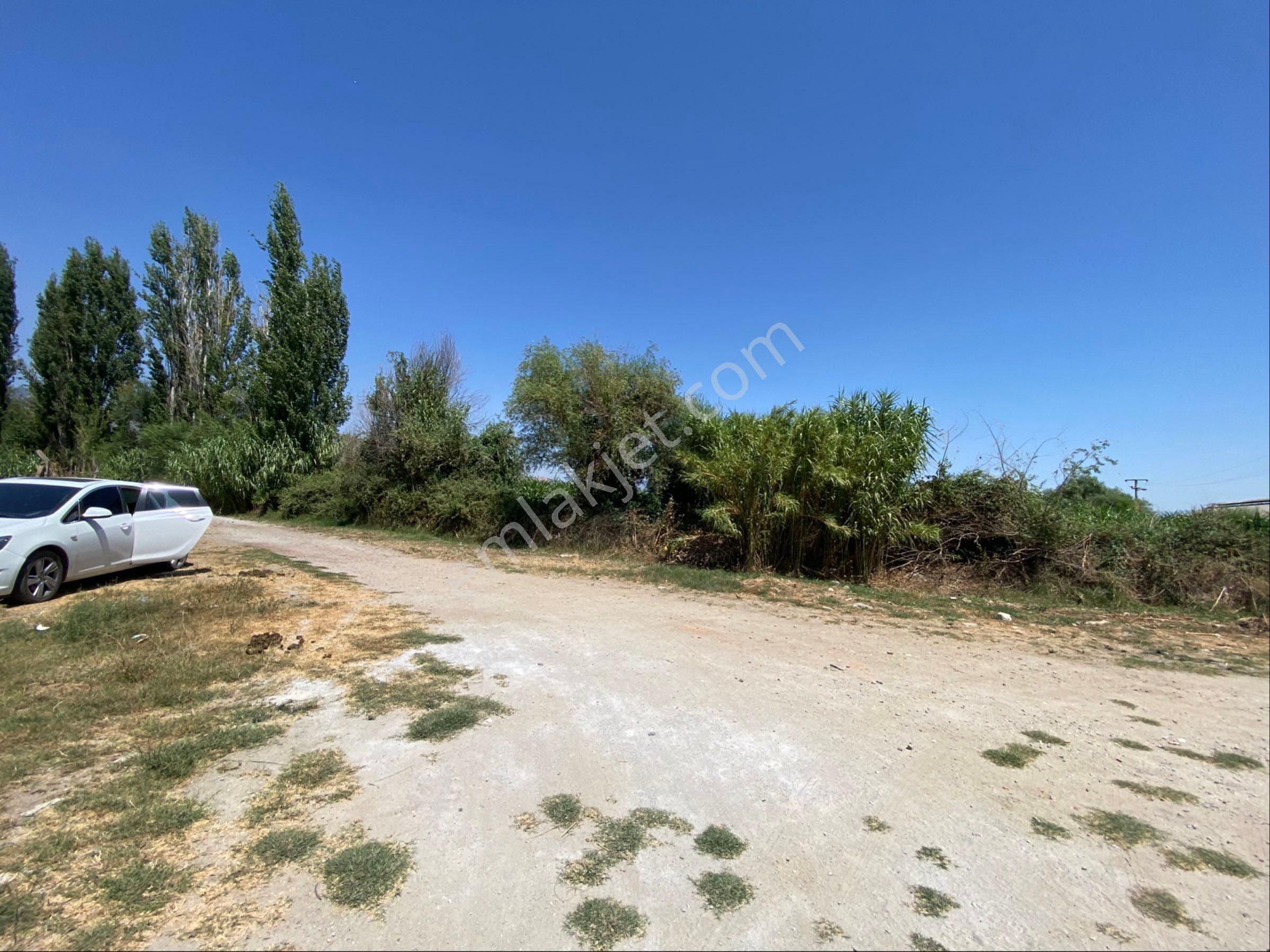 Aydın Efeler Pınarderede Satılık 16.636 M2 Ekilebilir Tarla - Görsel 3