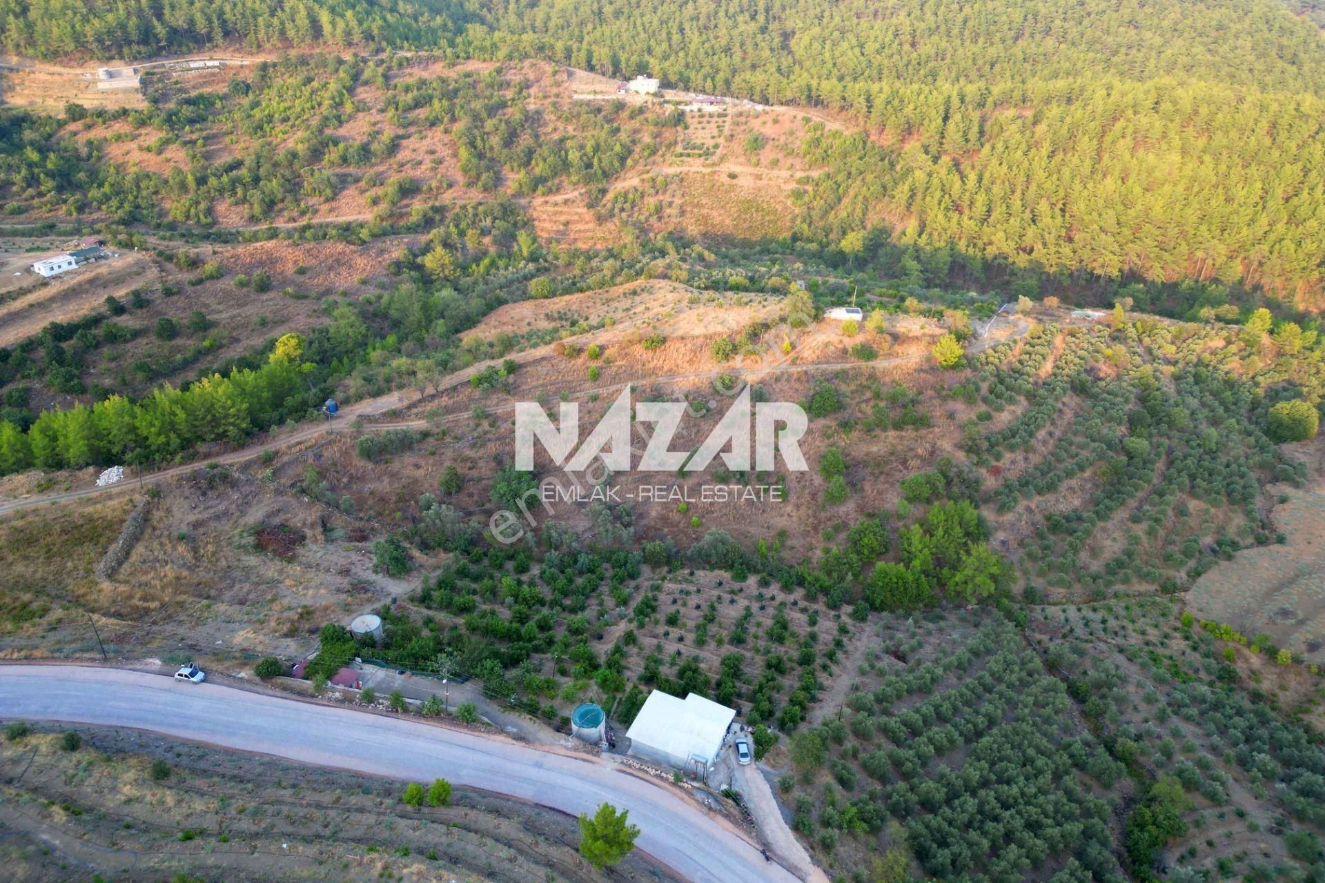 Alanya Şıhlar Köyünde 6.893 M² Satılık Tarla - Görsel 12
