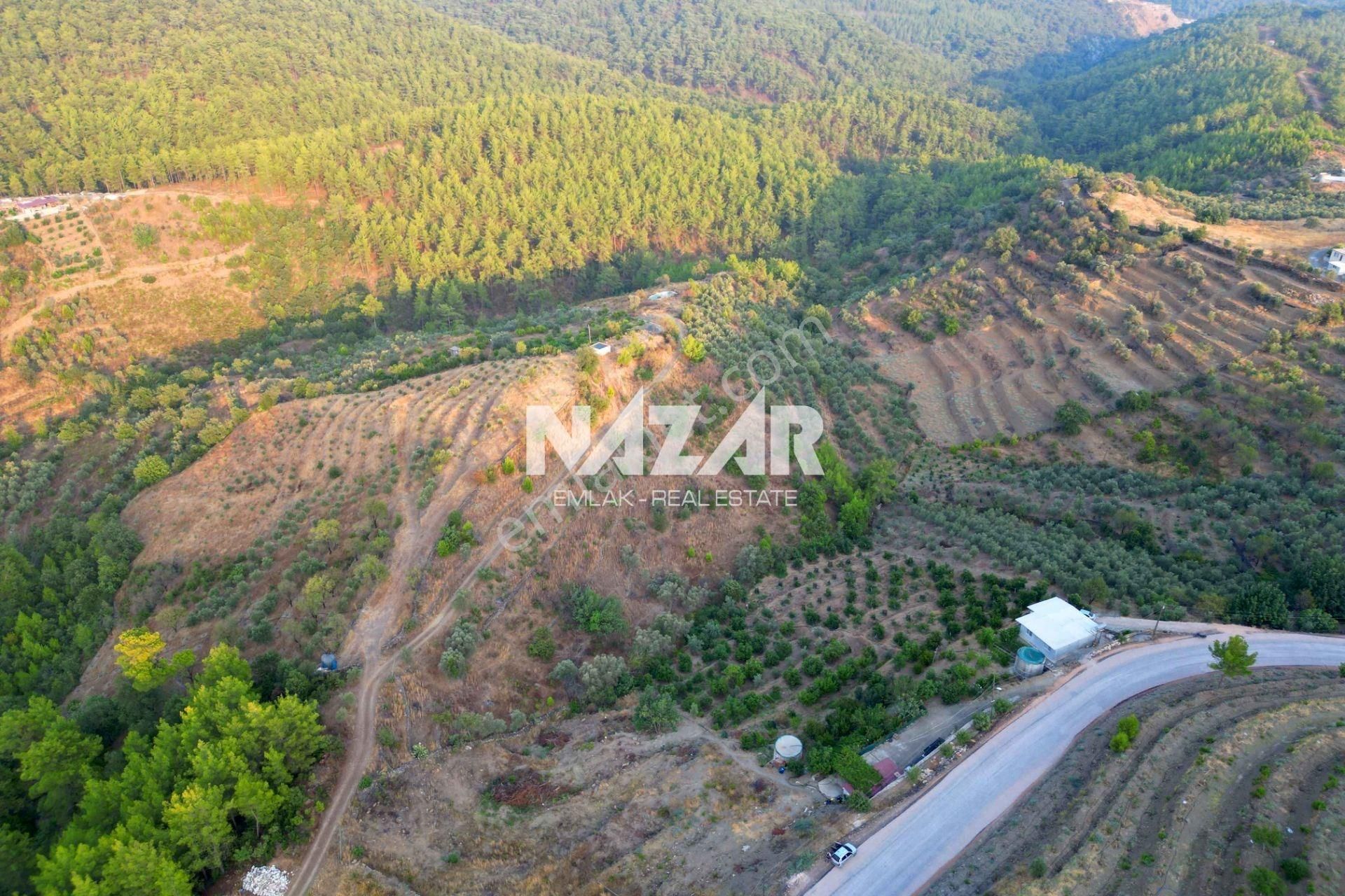 Alanya Şıhlar Köyünde 6.893 M² Satılık Tarla - Görsel 13