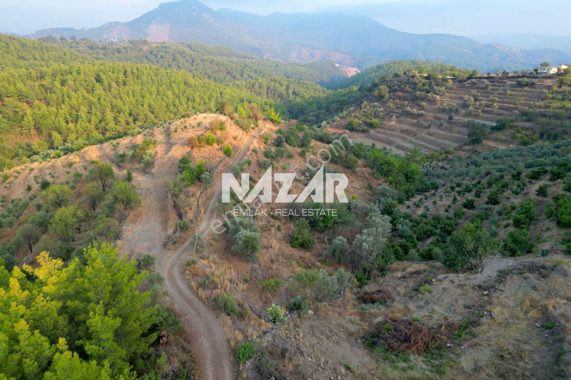 Alanya Şıhlar Köyünde 6.893 M² Satılık Tarla - Görsel 9