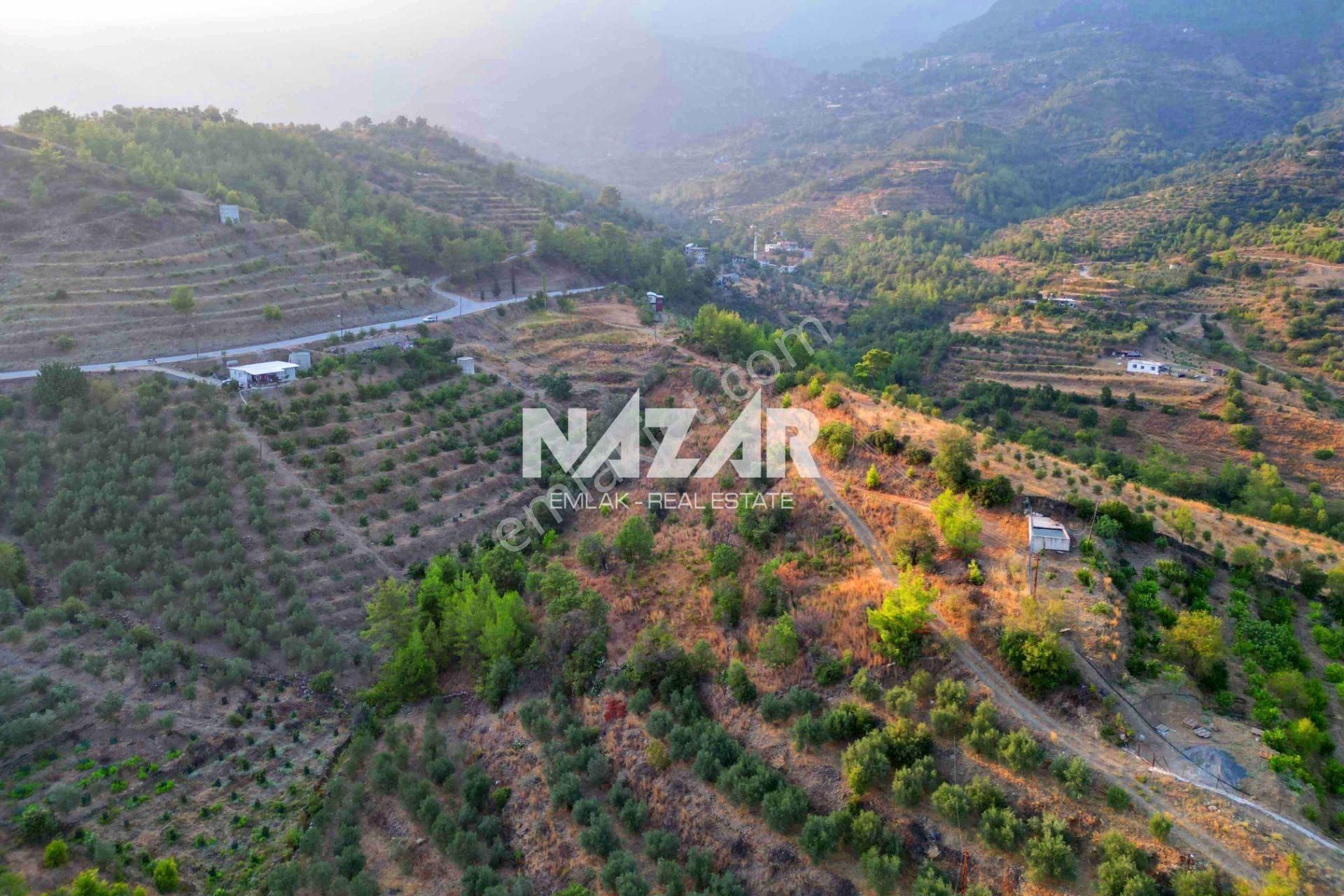 Alanya Şıhlar Köyünde 6.893 M² Satılık Tarla - Görsel 8