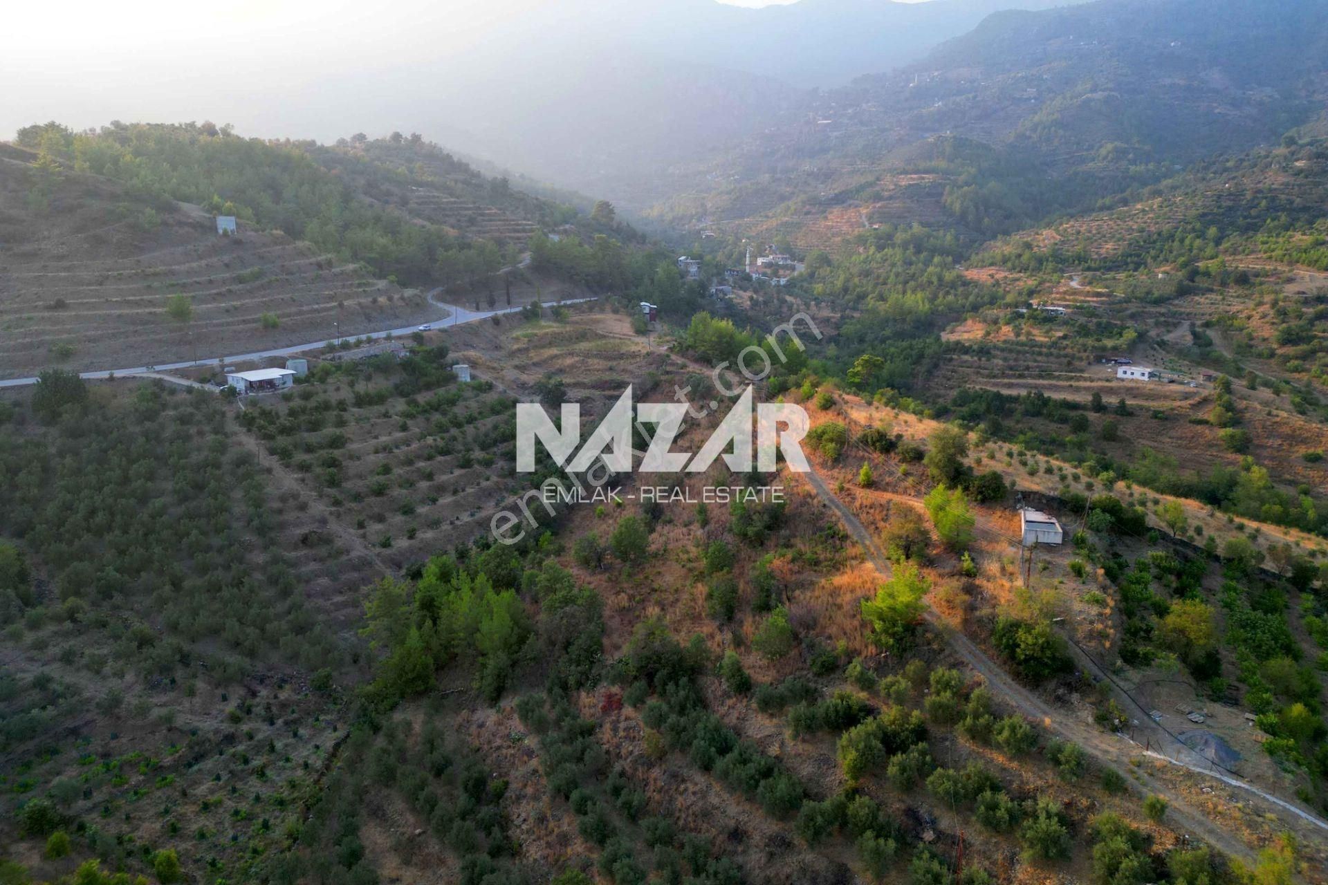 Alanya Şıhlar Köyünde 6.893 M² Satılık Tarla - Görsel 7