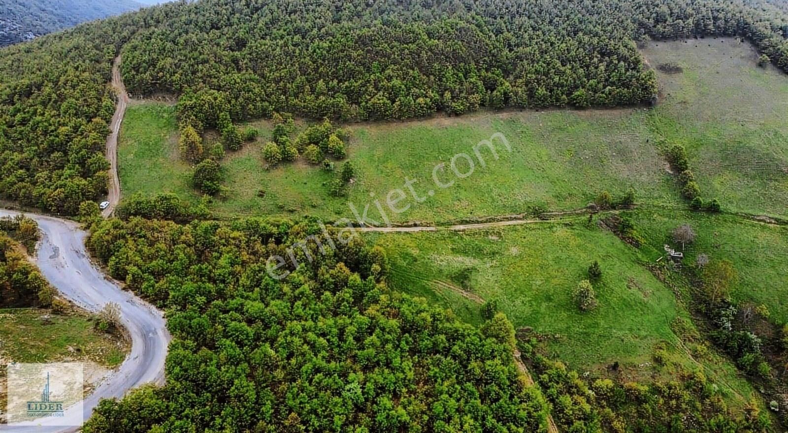 Bursa Yenişehir Kıblepınar'da 11.233m2 Yol Cephe Kupon Arazi
