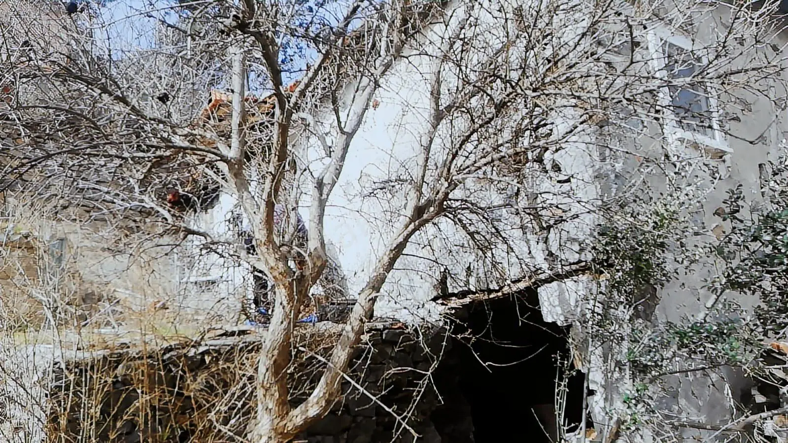 Üzerinde Eski Ev Bulunan, Altyapılı Köy İçi Arsa - Görsel 2