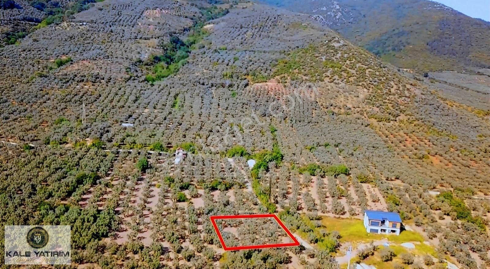 Kaleden Keramette Ilıca Yanında 1.416m² Göle 500mt Manzaralı - Görsel 4