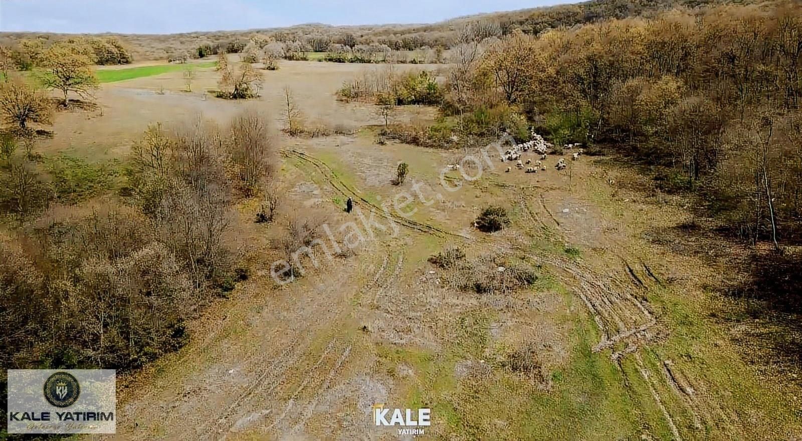 Kale Yatırımdan Yenişehir Gökçesuda 10297m² Baraj Manzaralı - Görsel 3