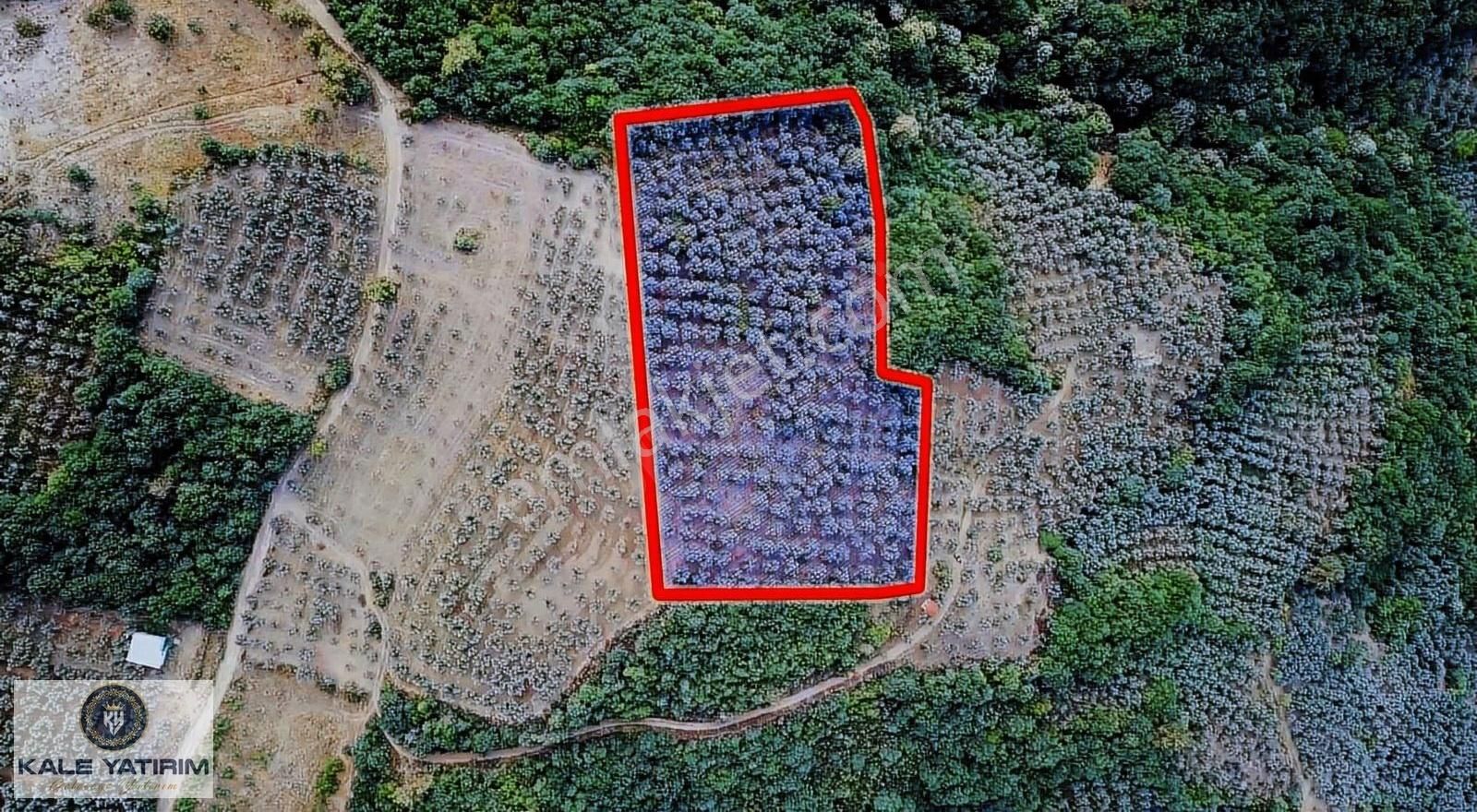 Kale Yatırımdan Dutlucada 4 Yandan İznik Gölü Manzaralı 7948m² - Görsel 8
