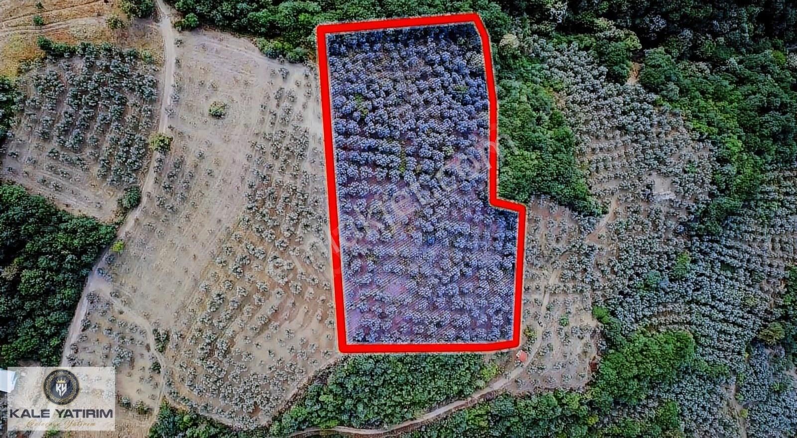 Kale Yatırımdan Dutlucada 4 Yandan İznik Gölü Manzaralı 7948m² - Görsel 7