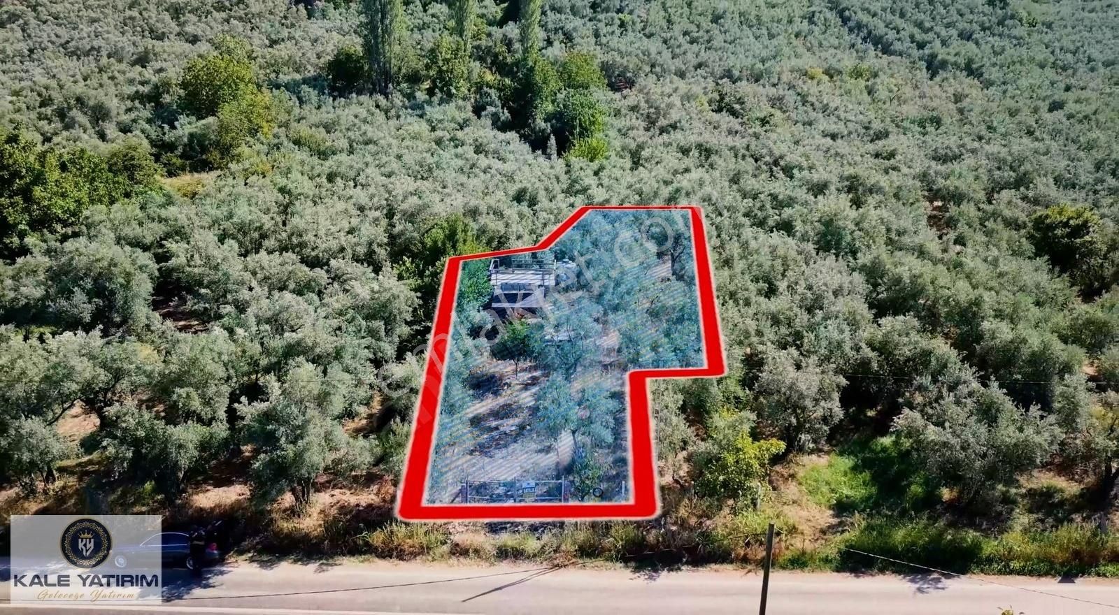 Kale Yatırımdan Paşapınarda Asfalt Cepheli 675m² Hobi Bahçesi - Görsel 3