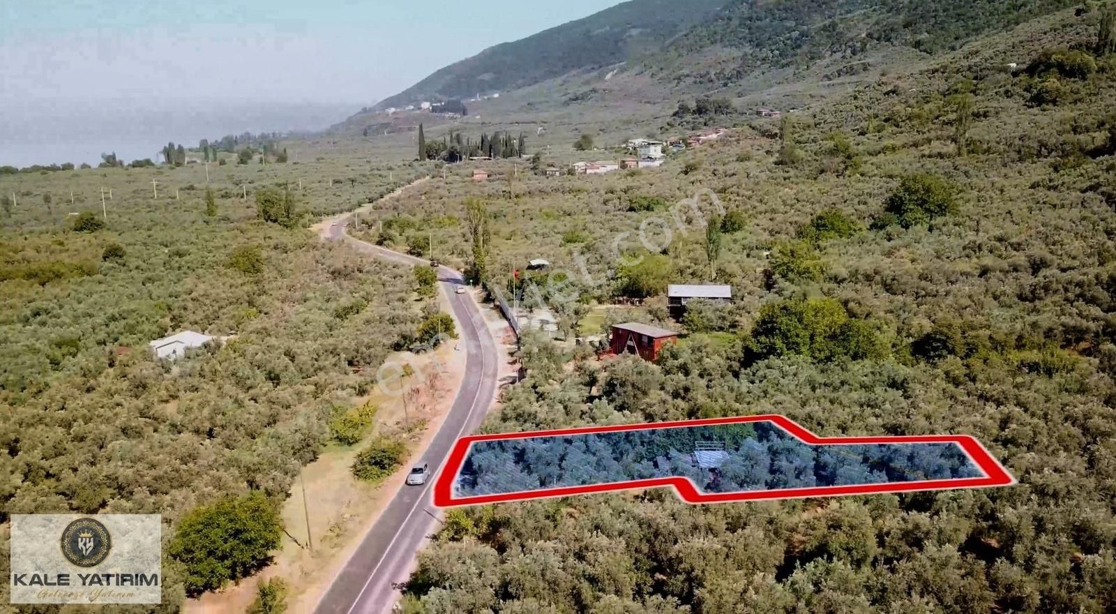 Kale Yatırımdan Paşapınarda Asfalt Cepheli 675m² Hobi Bahçesi - Görsel 6
