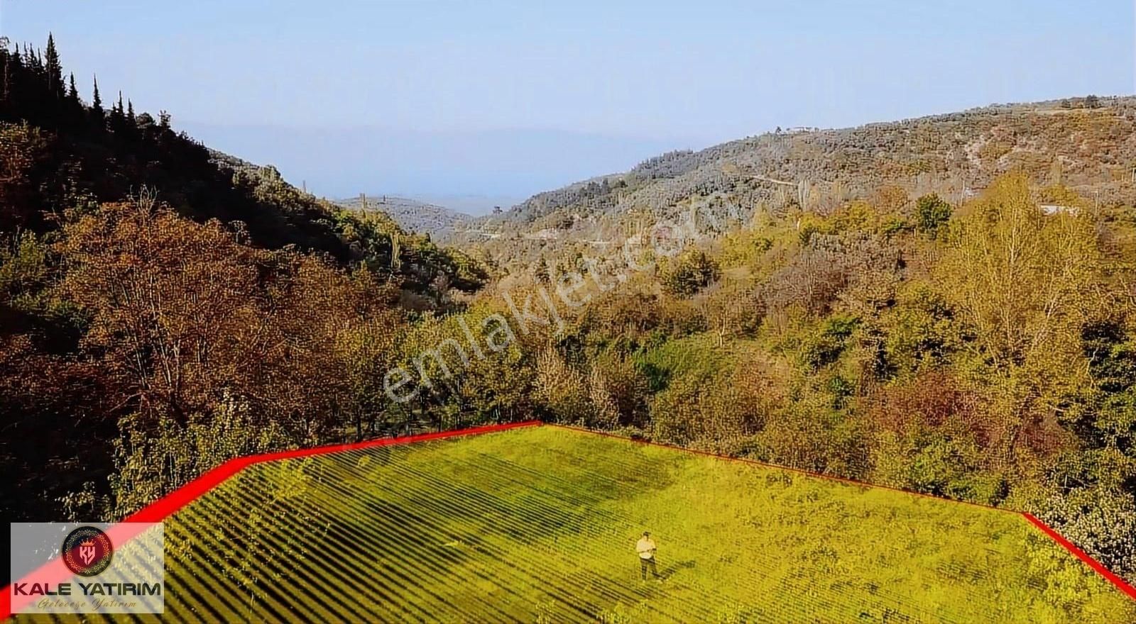 Kaleden Yenisölözde Köy İçi 854m² Göl Ve Doğa Manzaralı Hobi Bah - Görsel 2