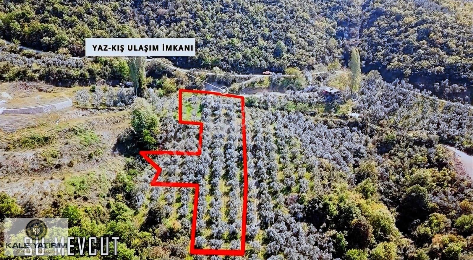 Kaleden Sölözde 2.250m² Yenişehir Yolunda Göl Manzaralı Yolu Var - Görsel 3