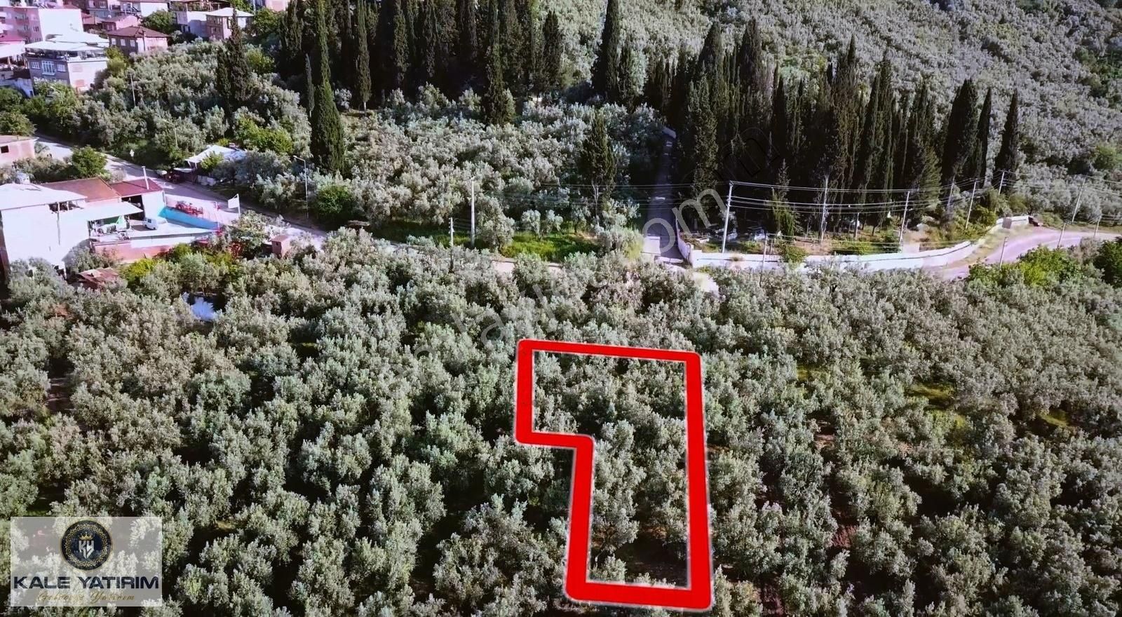 Kaleden Narlıcada Köy İçinde Göl Manzaralı 504m² Elektrik Su Var - Görsel 17