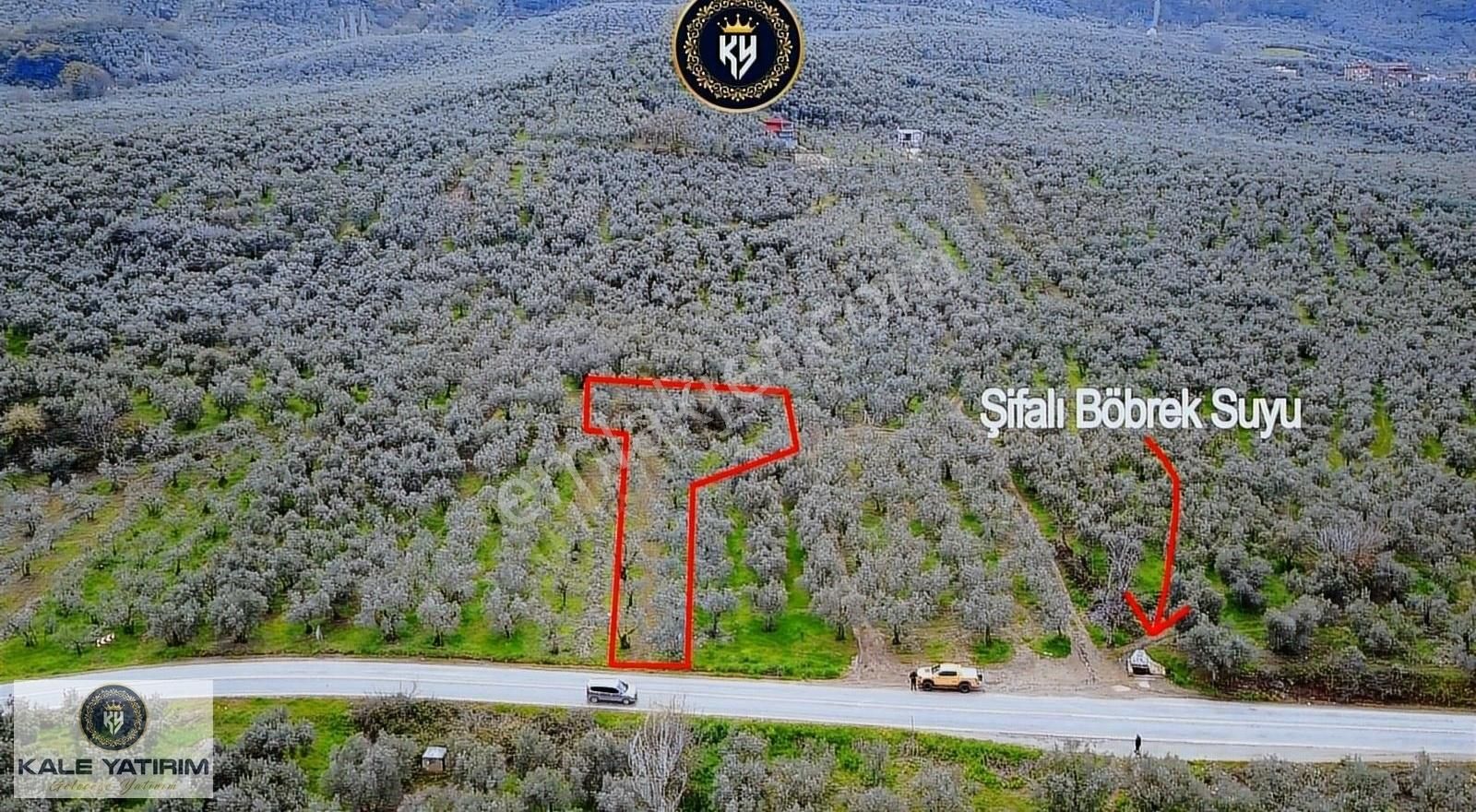 Kaleden Asfalt Cepheli Göl Manzaralı Elektrik Su Mevcut 997m² - Görsel 4