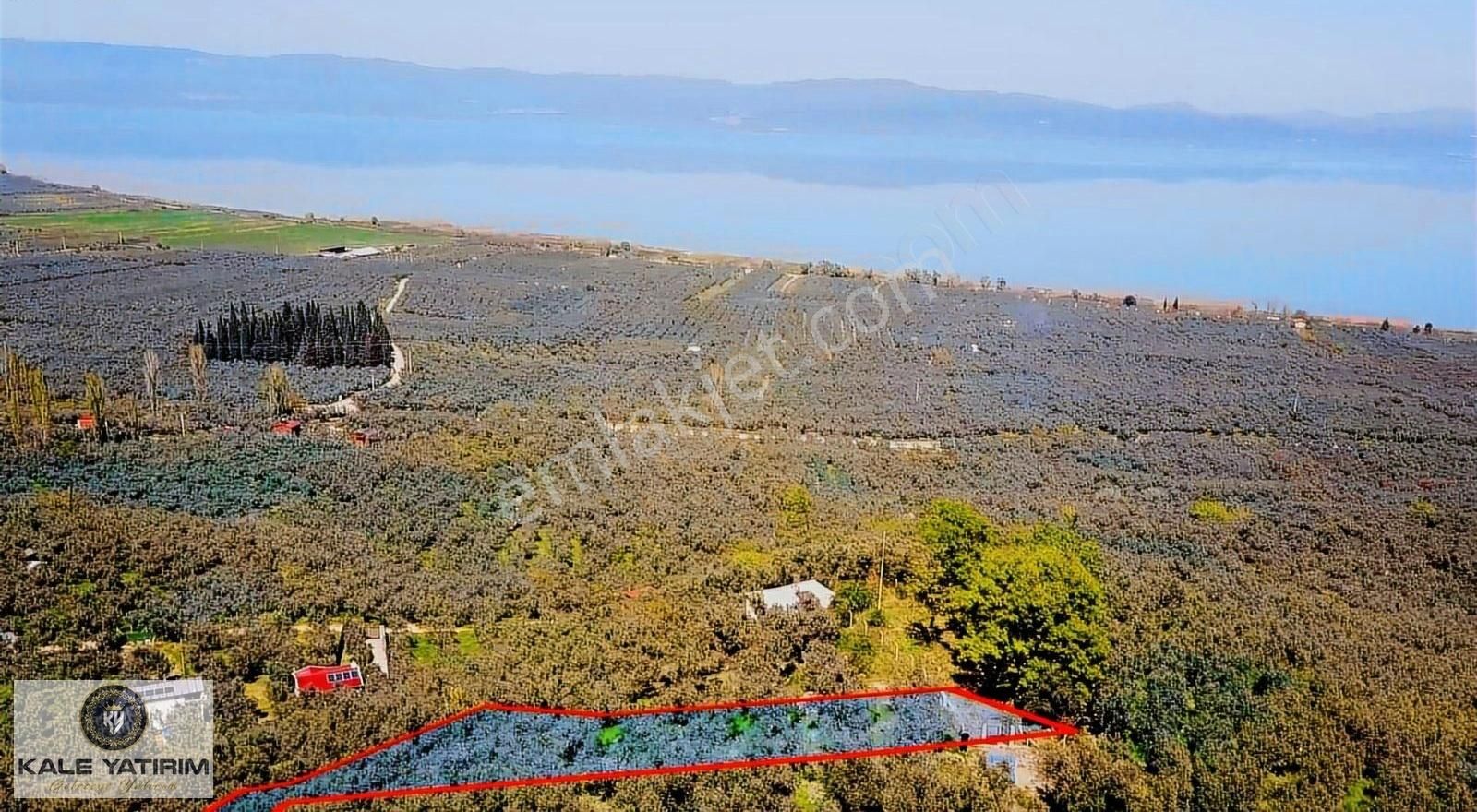 Kaleden Hecelerde Köye Yakın İznik Gölü Manzaralı 1.471m² - Görsel 3