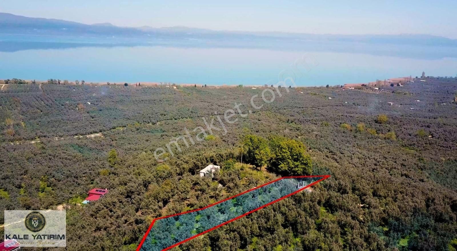 Kaleden Hecelerde Köye Yakın İznik Gölü Manzaralı 1.471m²