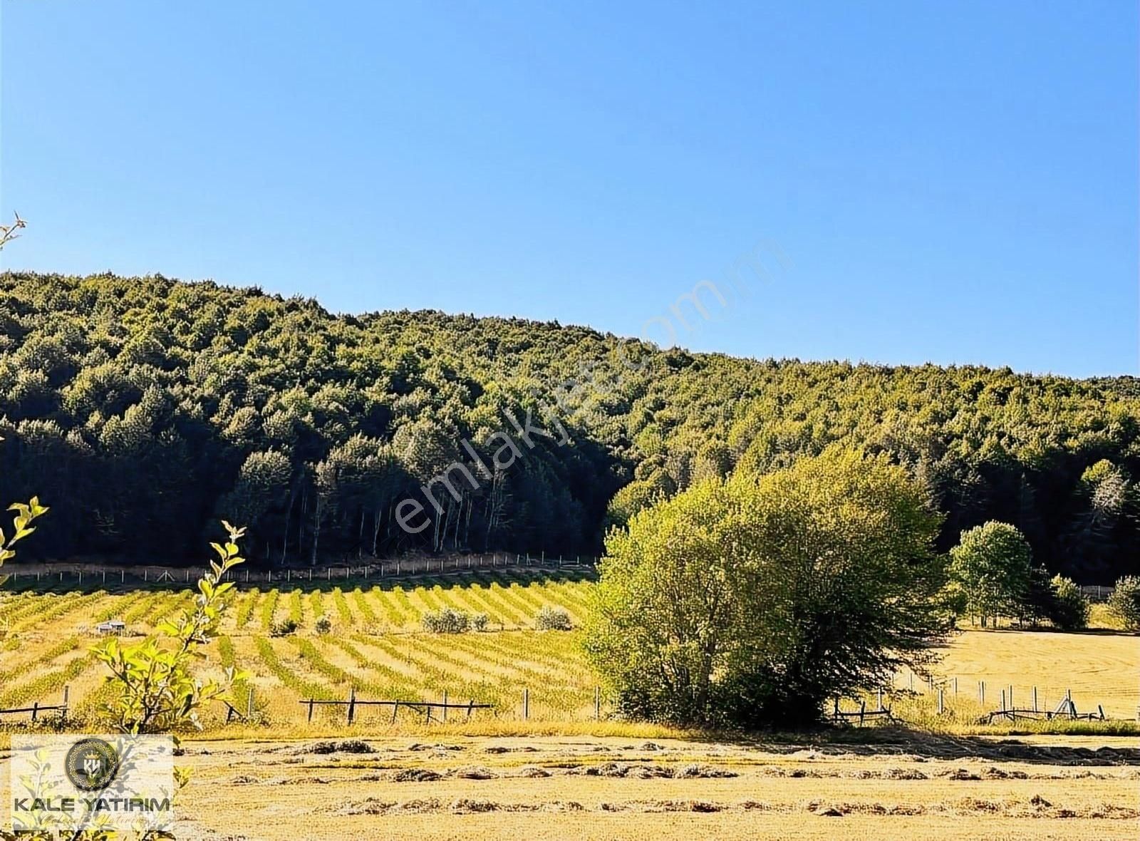 Kaleden Haydariyede 88.669m2 Yola Cepheli Kırsal Turizme Uygun - Görsel 6