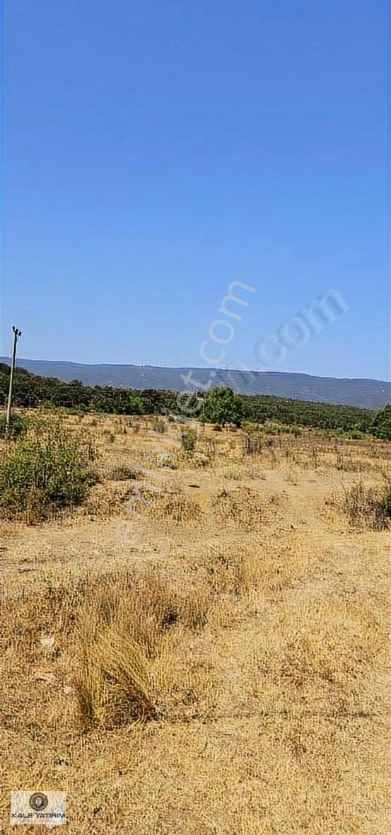 Kaleden Haydariyede 88.669m2 Yola Cepheli Kırsal Turizme Uygun - Görsel 21