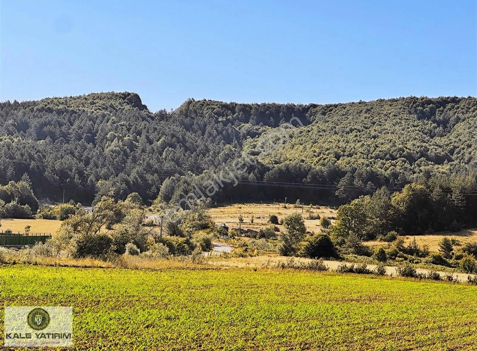 Kaleden Haydariyede 88.669m2 Yola Cepheli Kırsal Turizme Uygun - Görsel 17