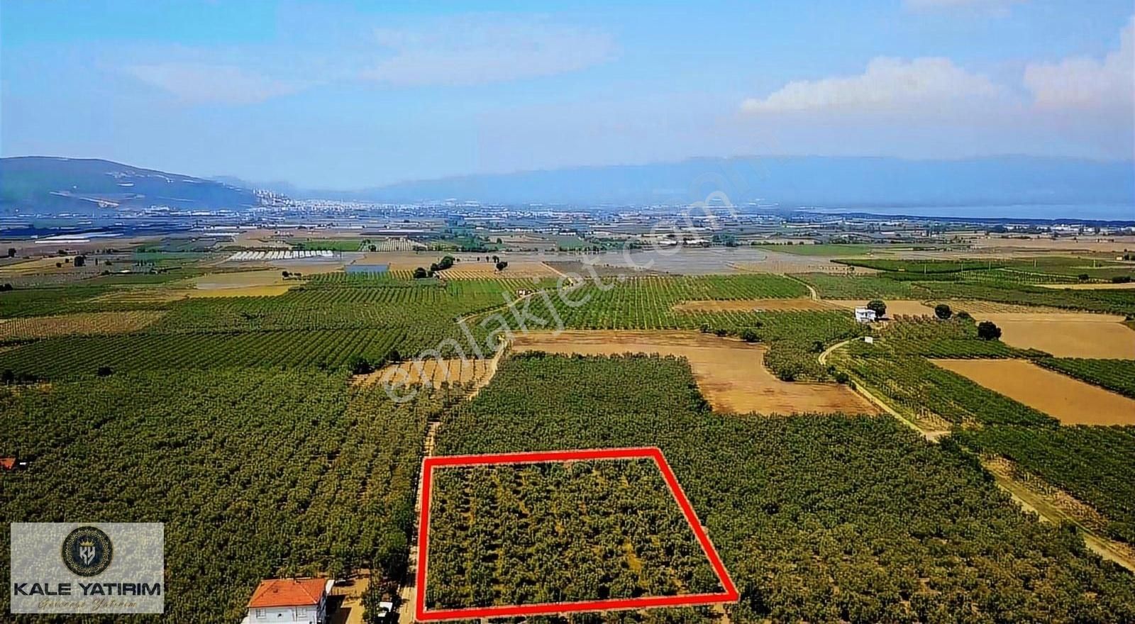 Kaleden Yenigürlede 5.073m² Resmi Yola Cephe Elektrik Su Mevcut - Görsel 11