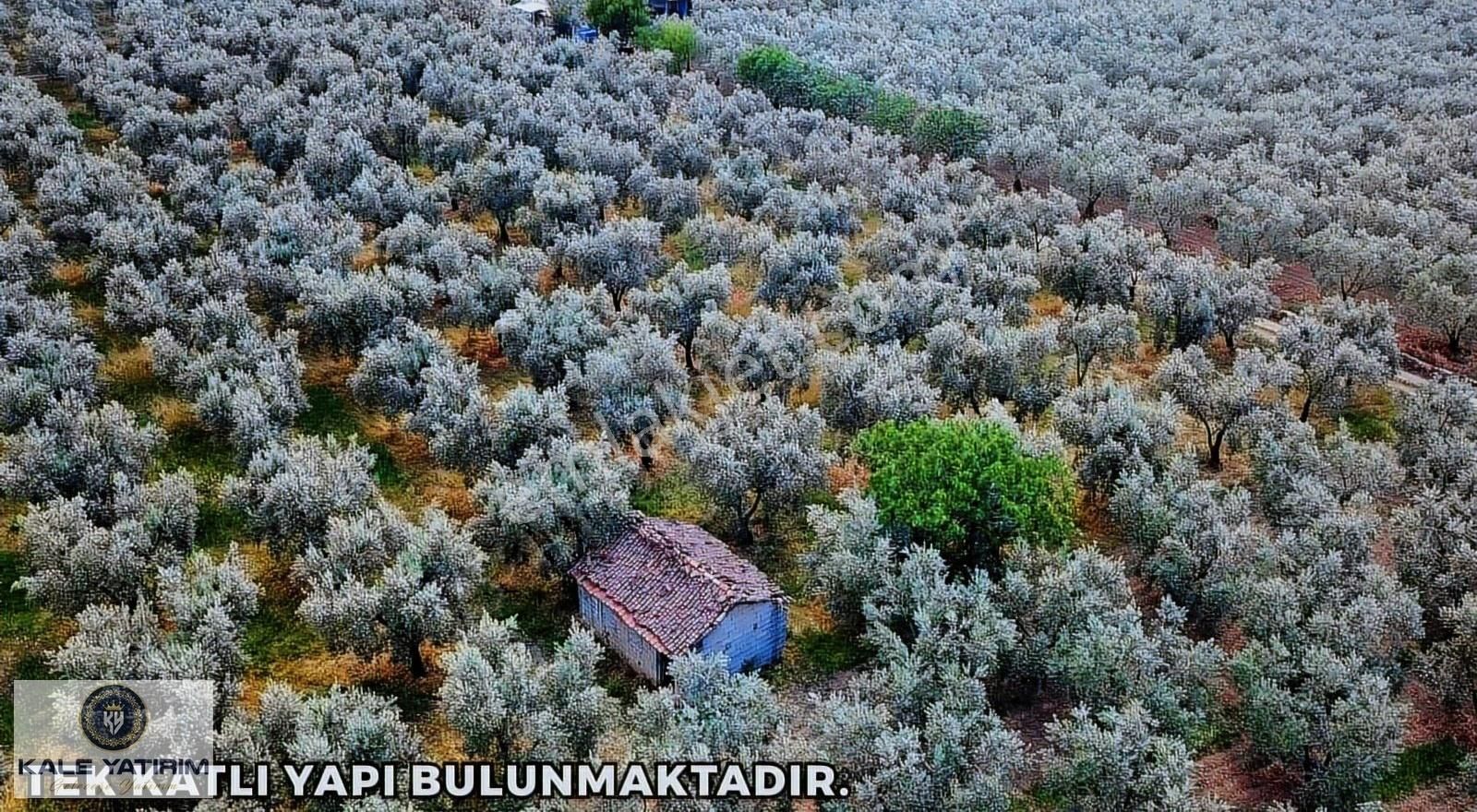 Kaleden Yenigürlede 5.073m² Resmi Yola Cephe Elektrik Su Mevcut - Görsel 7