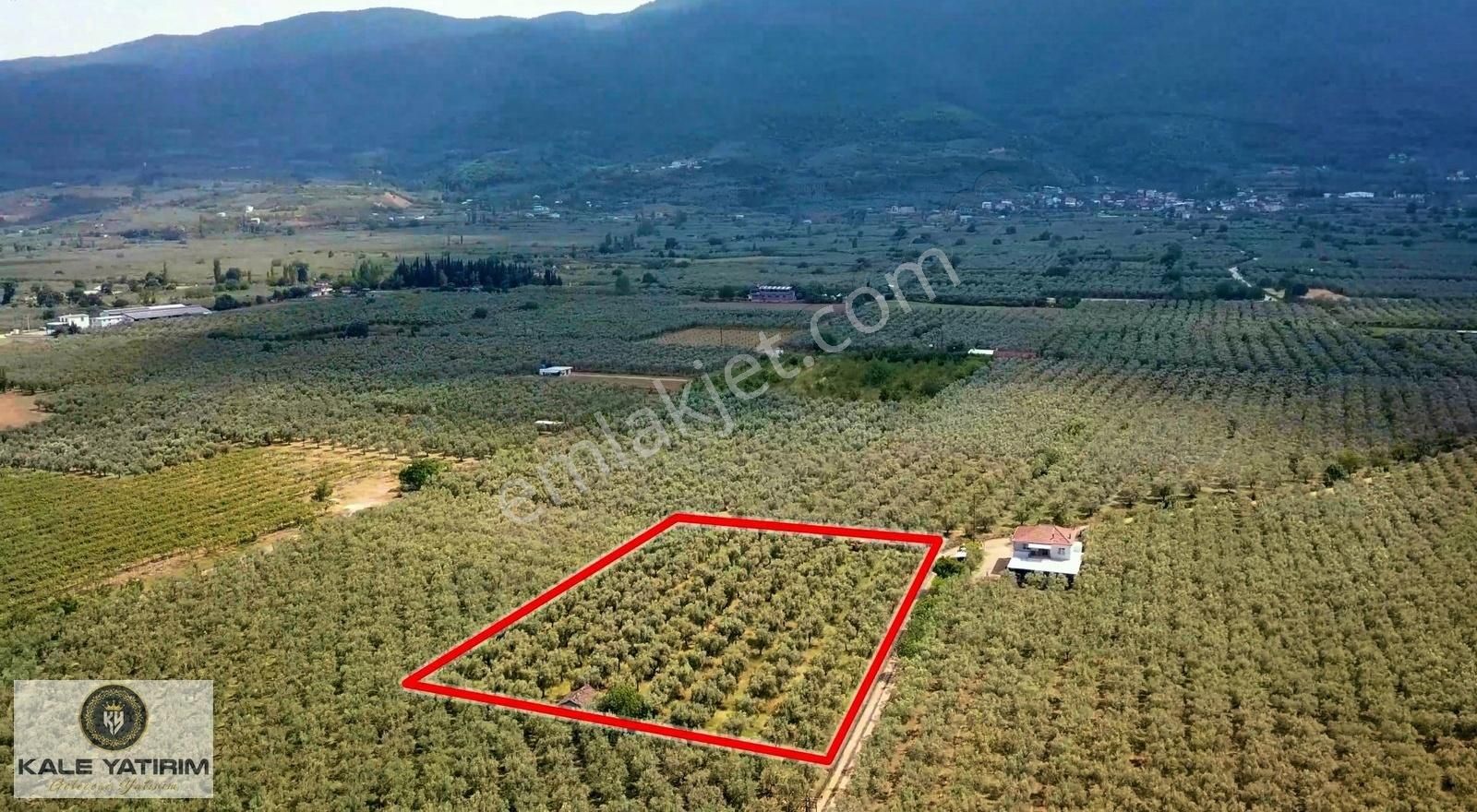 Kaleden Yenigürlede 5.073m² Resmi Yola Cephe Elektrik Su Mevcut - Görsel 8