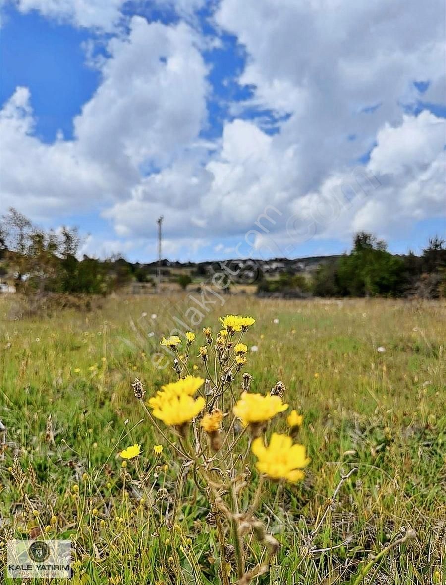Kale Yatırımdan İznik Elmalıda Doğanın İçinde 4.825m²imarlı Arsa - Görsel 21