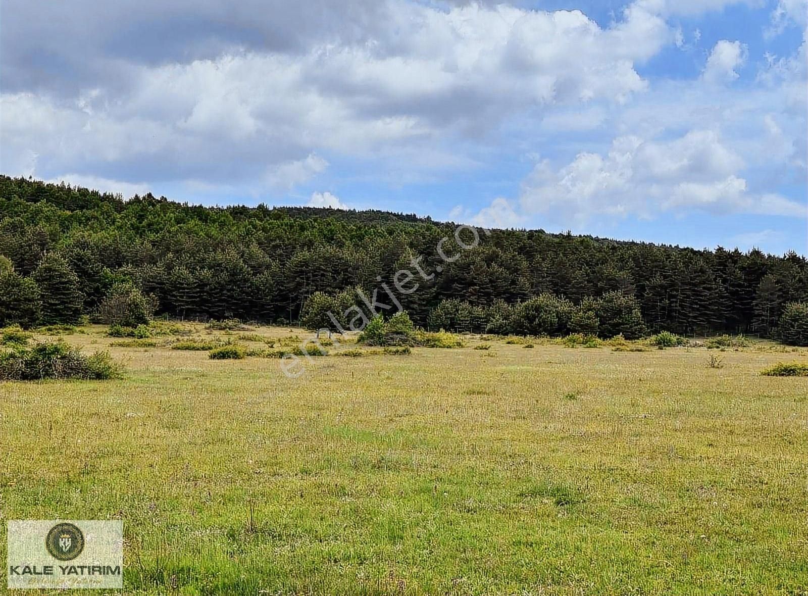 Kale Yatırımdan İznik Elmalıda Doğanın İçinde 4.825m²imarlı Arsa - Görsel 9