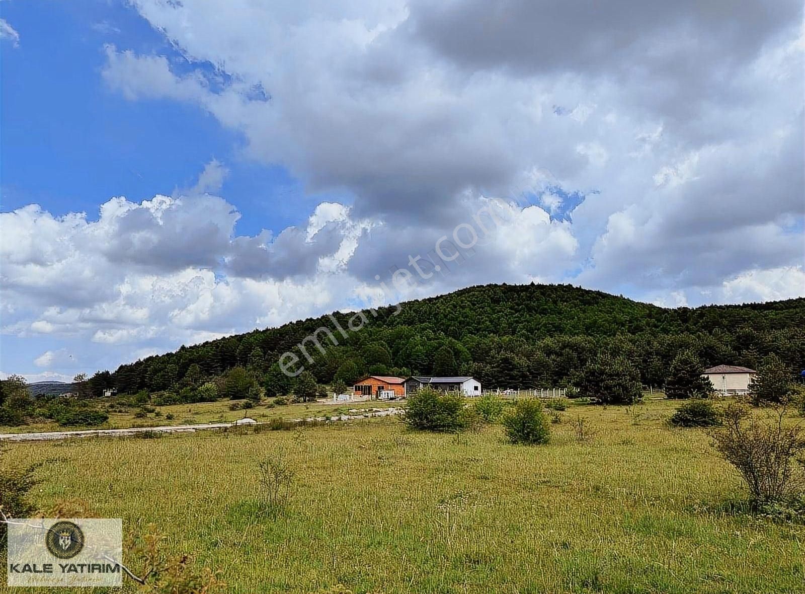 Kale Yatırımdan İznik Elmalıda Doğanın İçinde 4.825m²imarlı Arsa - Görsel 10