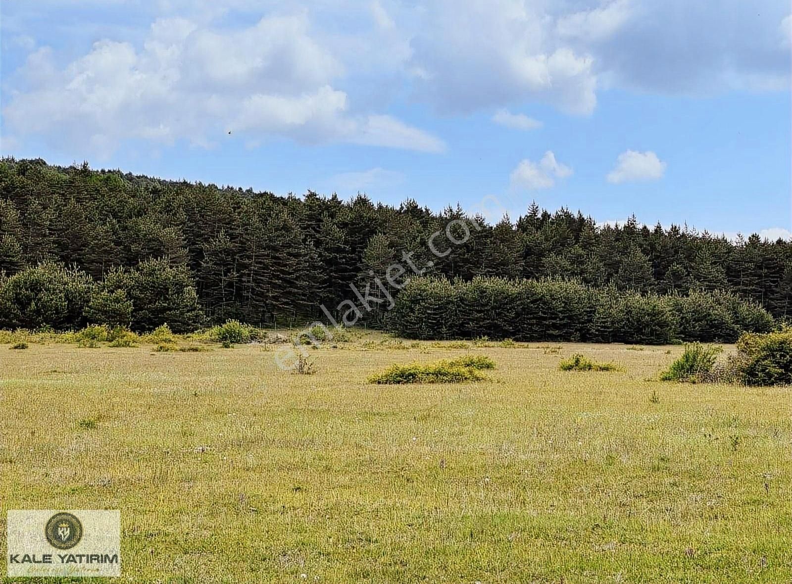 Kale Yatırımdan İznik Elmalıda Doğanın İçinde 4.825m²imarlı Arsa - Görsel 31