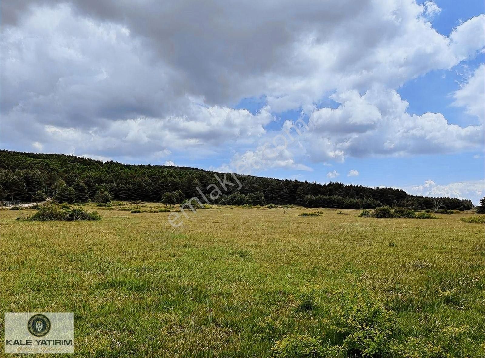 Kale Yatırımdan İznik Elmalıda Doğanın İçinde 4.825m²imarlı Arsa - Görsel 5