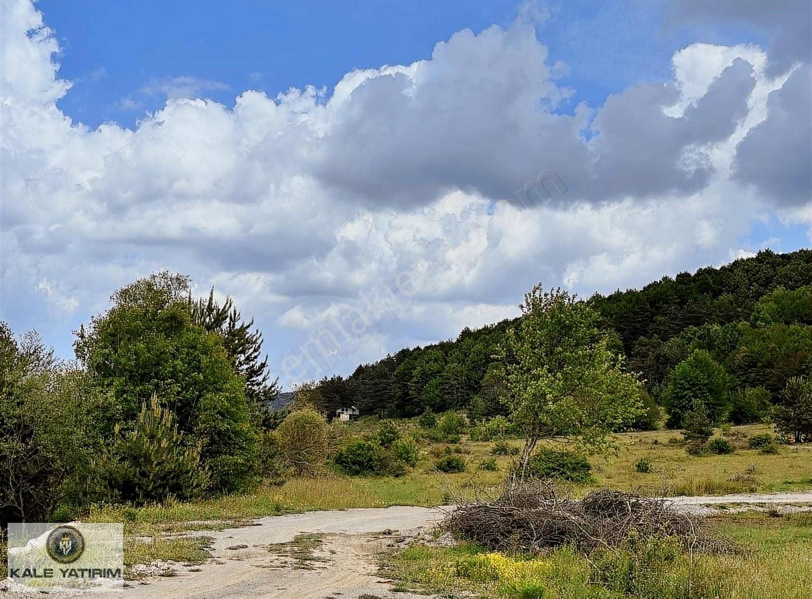 Kale Yatırımdan İznik Elmalıda Doğanın İçinde 4.825m²imarlı Arsa - Görsel 30