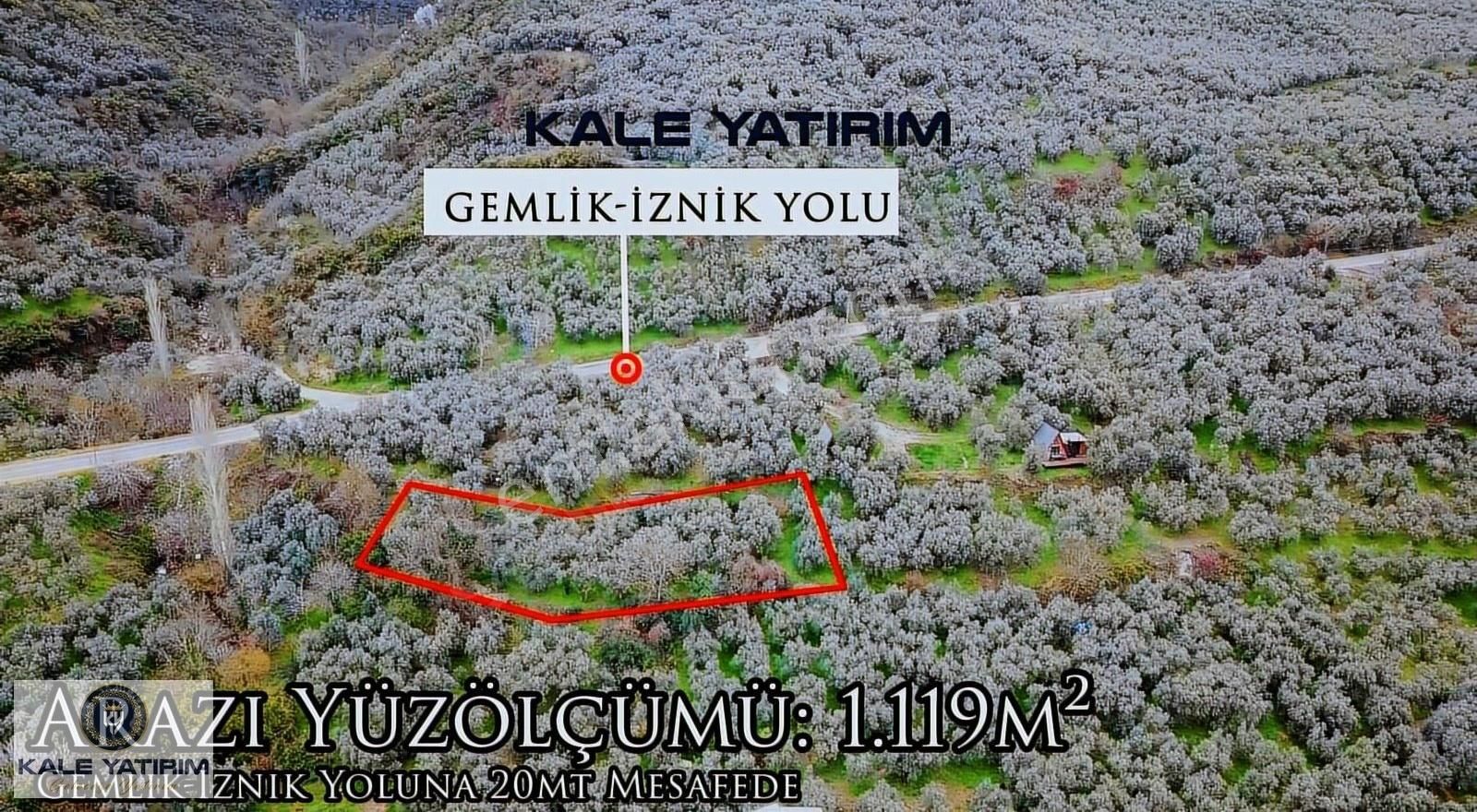 Kaleden Narlıcada 1119m² Eşsiz Göl Manzaralı Bakımlı Zeytinlik - Görsel 15