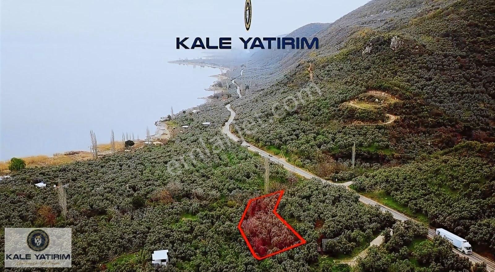 Kaleden Narlıcada 1119m² Eşsiz Göl Manzaralı Bakımlı Zeytinlik - Görsel 8