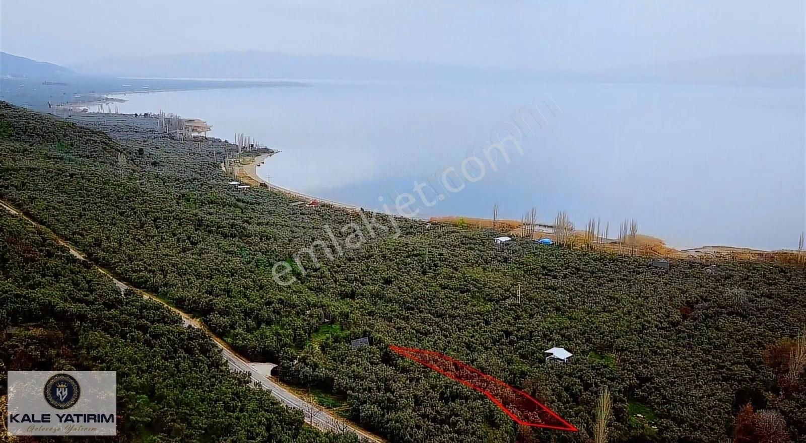 Kaleden Narlıcada 1119m² Eşsiz Göl Manzaralı Bakımlı Zeytinlik - Görsel 7