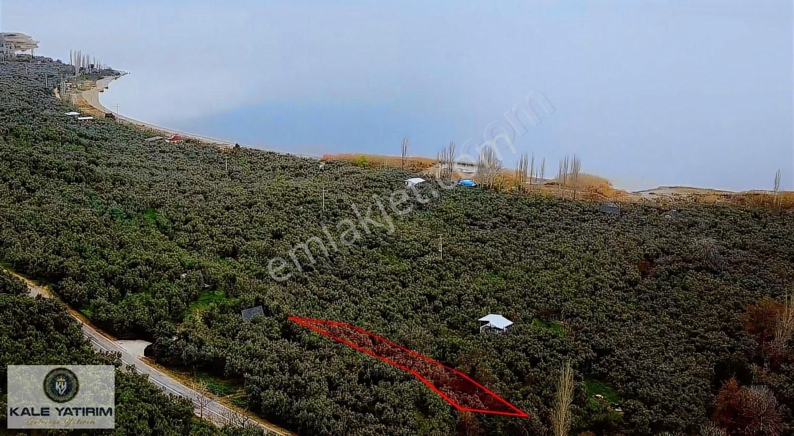 Kaleden Narlıcada 1119m² Eşsiz Göl Manzaralı Bakımlı Zeytinlik - Görsel 2
