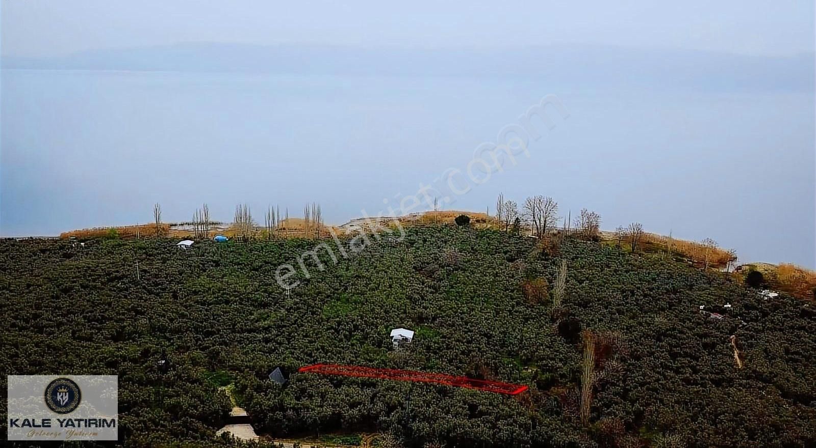 Kaleden Narlıcada 1119m² Eşsiz Göl Manzaralı Bakımlı Zeytinlik