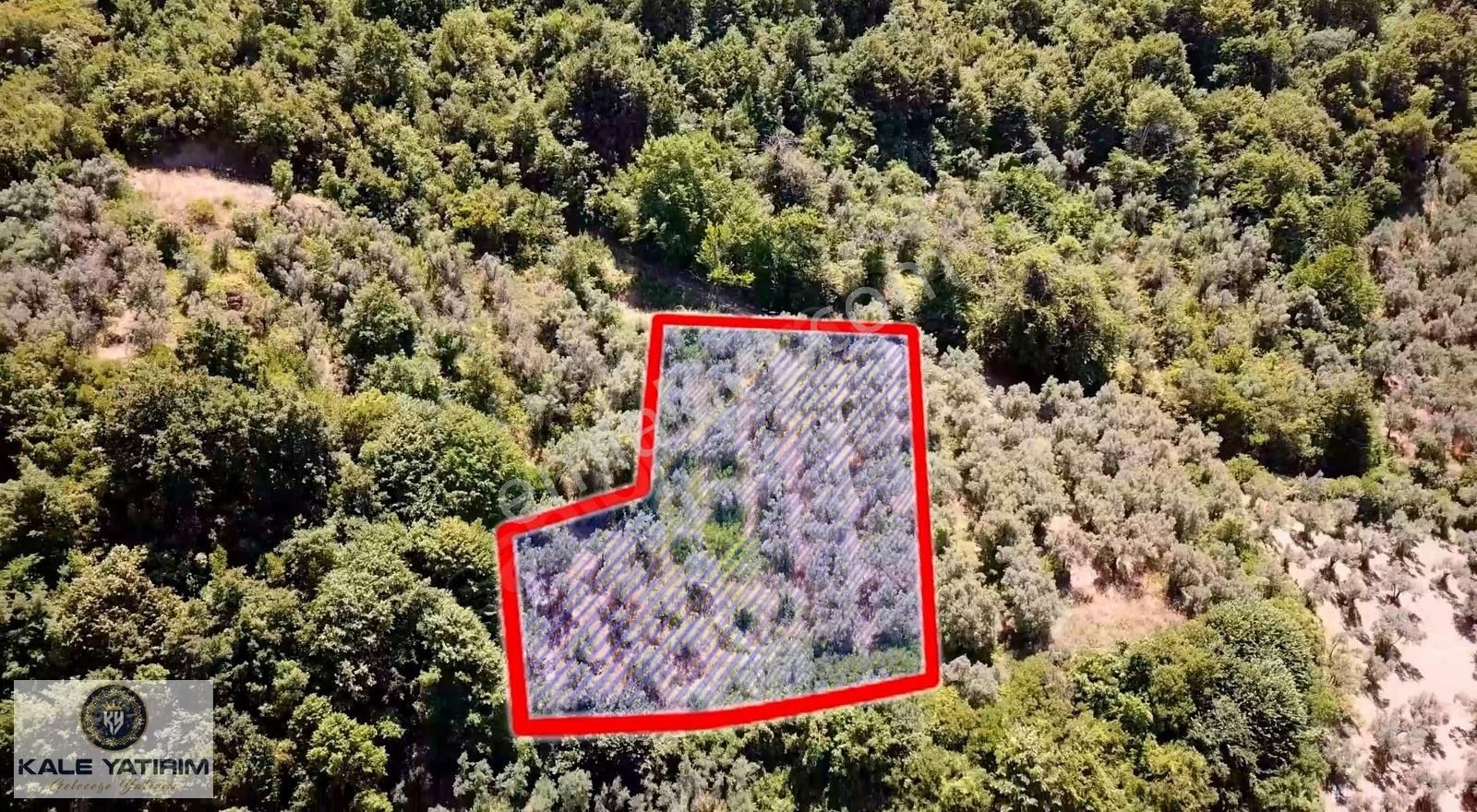 Kaleden Hecelerde 1793m² İznik Gölü Manzaralı Resmi Yola Cepheli