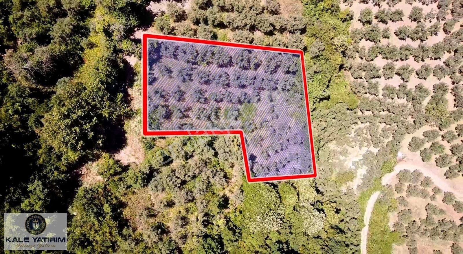 Kaleden Hecelerde 1793m² İznik Gölü Manzaralı Resmi Yola Cepheli - Görsel 11