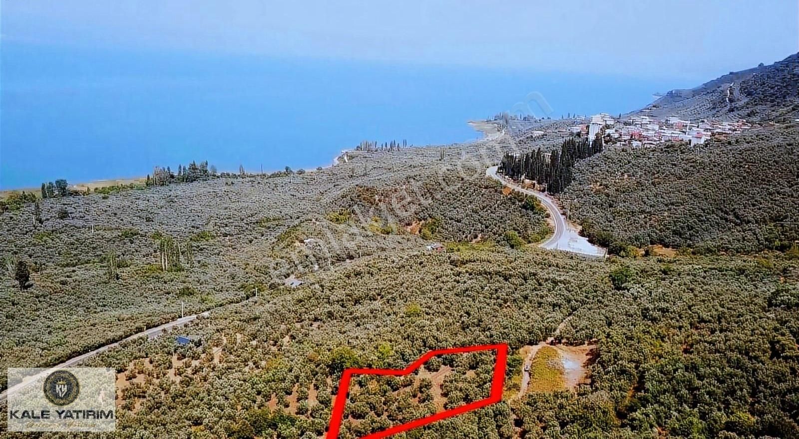 Kaleden Narlıcada 2.145m² İznik Gölü Manzaralı Yolu Mevcut - Görsel 4