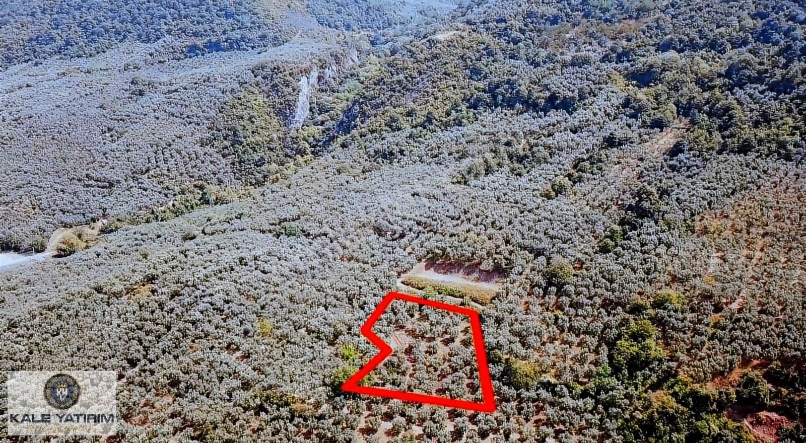 Kaleden Narlıcada 2.145m² İznik Gölü Manzaralı Yolu Mevcut - Görsel 6