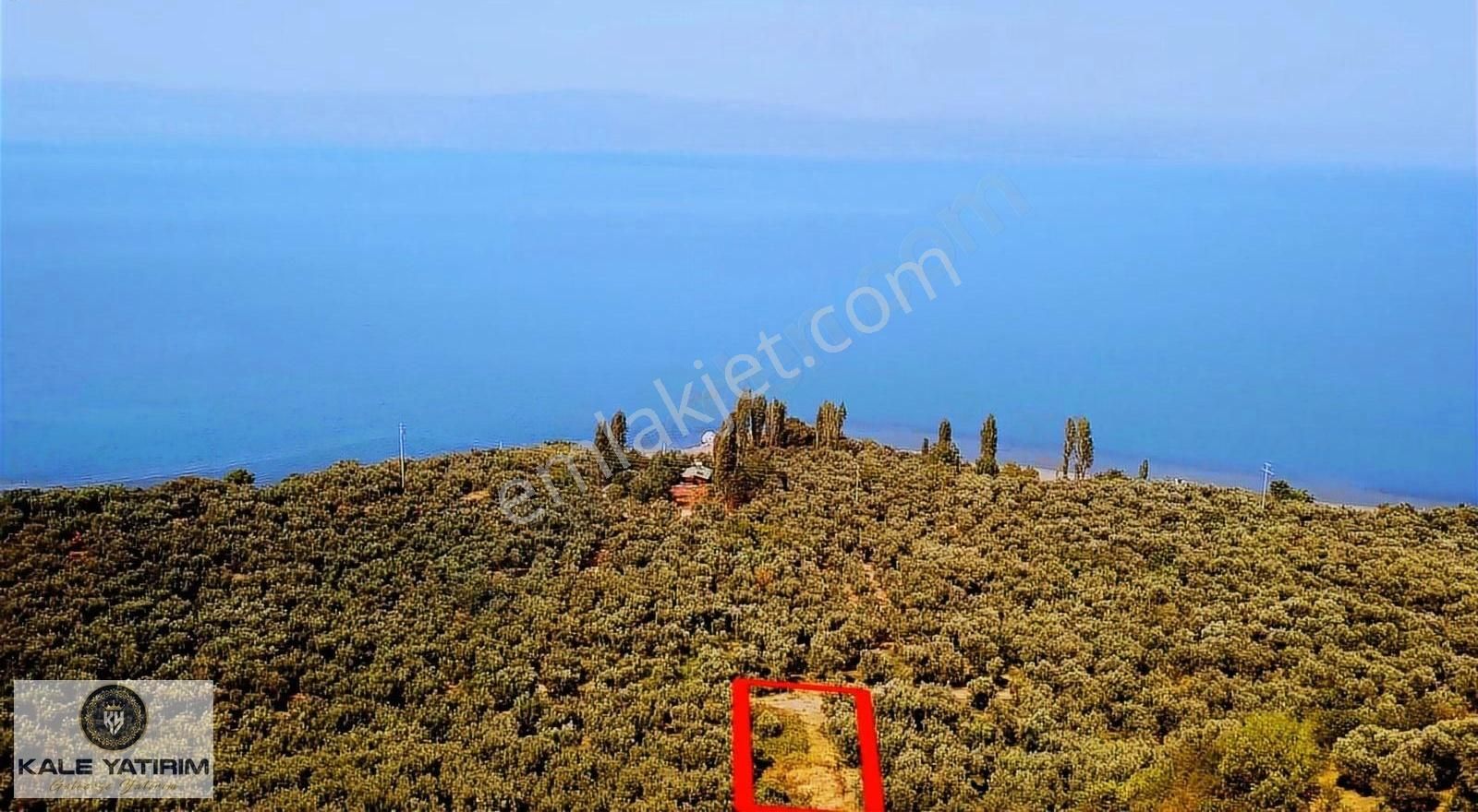 Kaleden Narlıcada 556m² Köye Yakın Göle 100mt Mesafede Hobi Bahç - Görsel 3