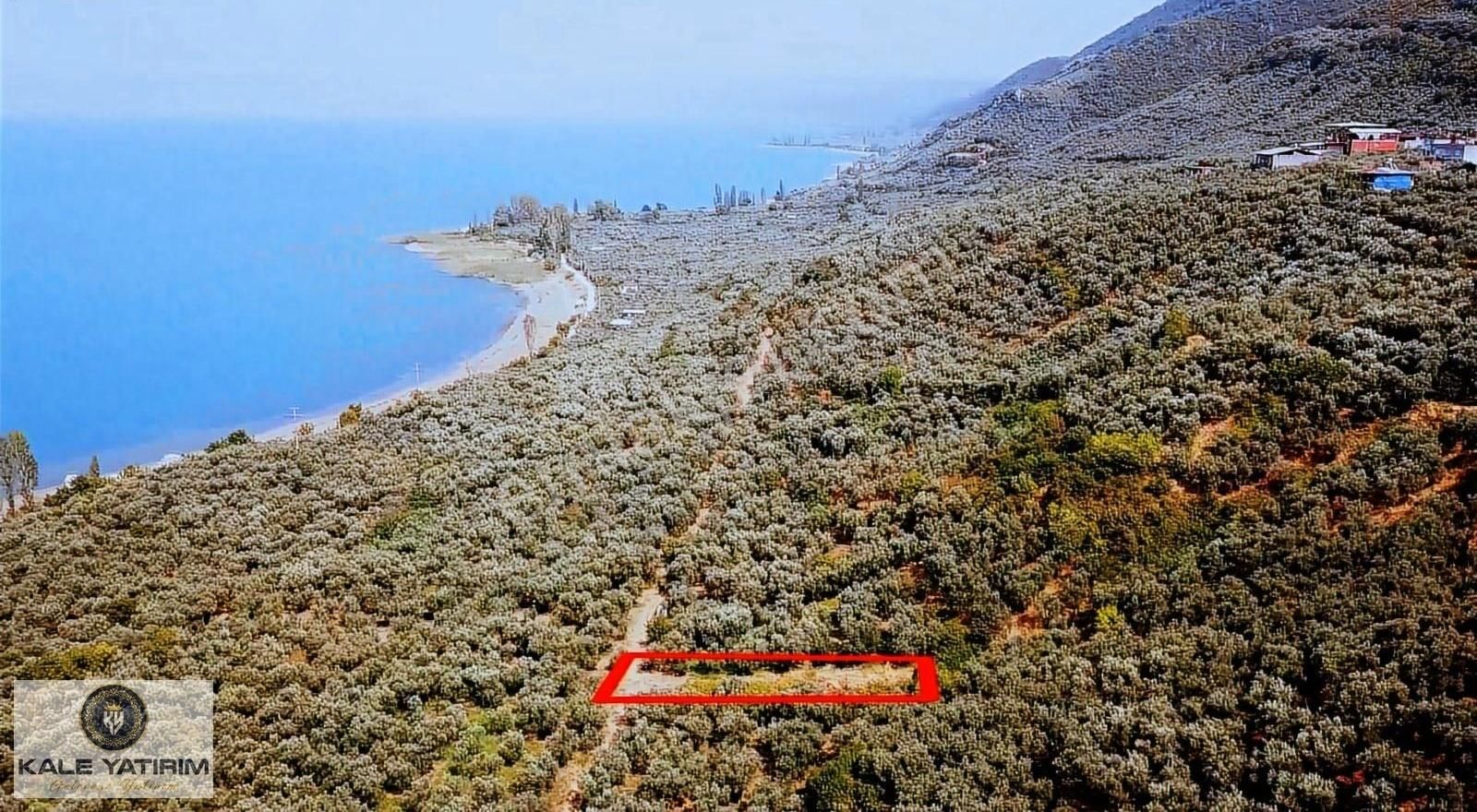 Kaleden Narlıcada 556m² Köye Yakın Göle 100mt Mesafede Hobi Bahç - Görsel 2