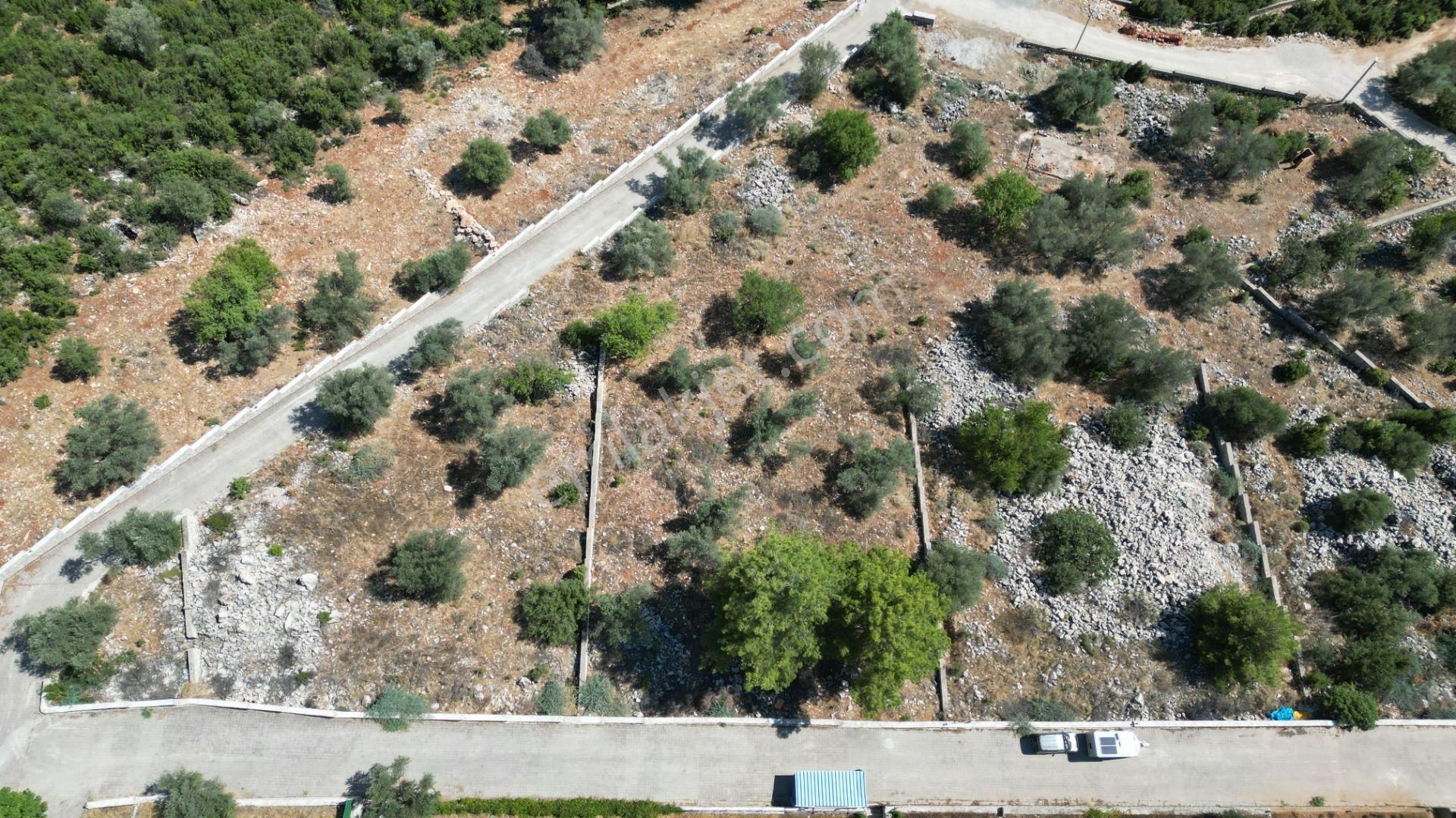 Goldhouse Dan Satılık Arsa Üzümlü De 1610 M² Fırsat - Görsel 14