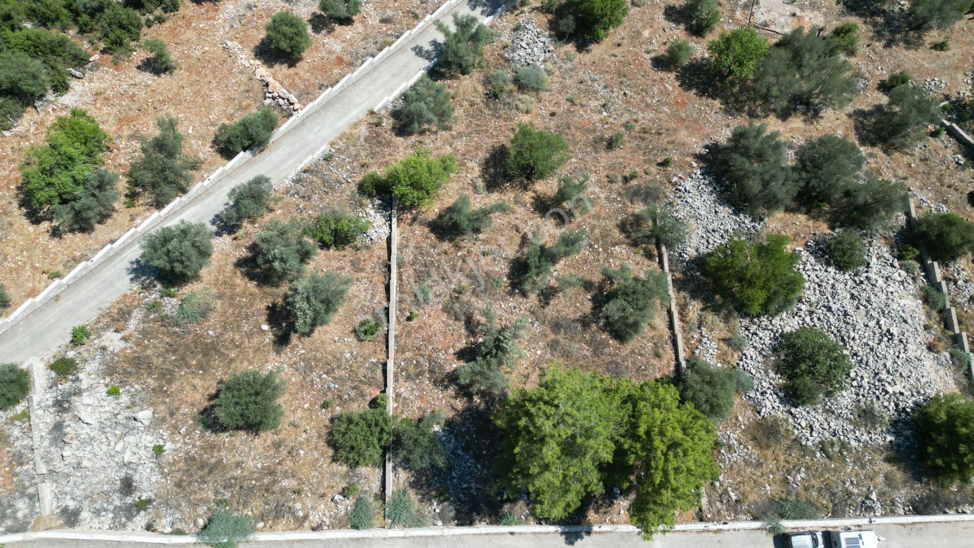 Goldhouse Dan Satılık Arsa Üzümlü De 1610 M² Fırsat - Görsel 10