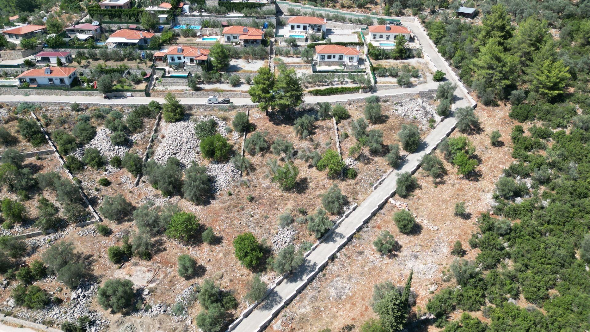 Goldhouse Dan Satılık Arsa Üzümlü De 1610 M² Fırsat - Görsel 3